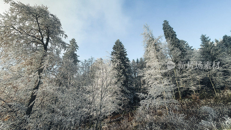 winter landscape in the mountain